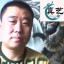 张志刚书画人生
