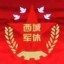 军休十所五支部