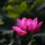 汩汩涌泉